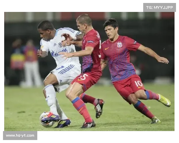 法尔范在沙尔克04五大关键位置作用及球队战术价值解析